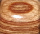 index002004.jpg