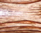index002024.jpg
