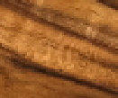 index002031.jpg