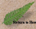 index005009.jpg