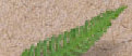 index006008.jpg