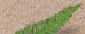 index007011.jpg