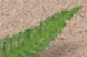 index016004.jpg